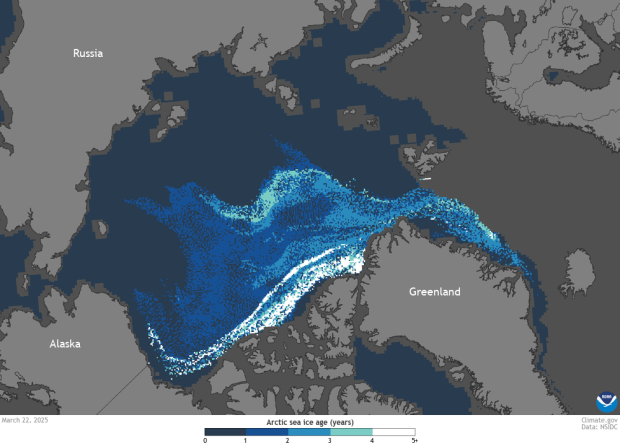 Map of sea ice age in Arctic on March 22, 2025.